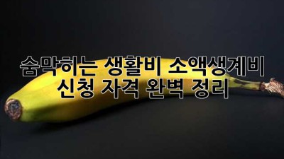 숨막히는 생활비? 소액생계비 신청 자격 완벽 정리!